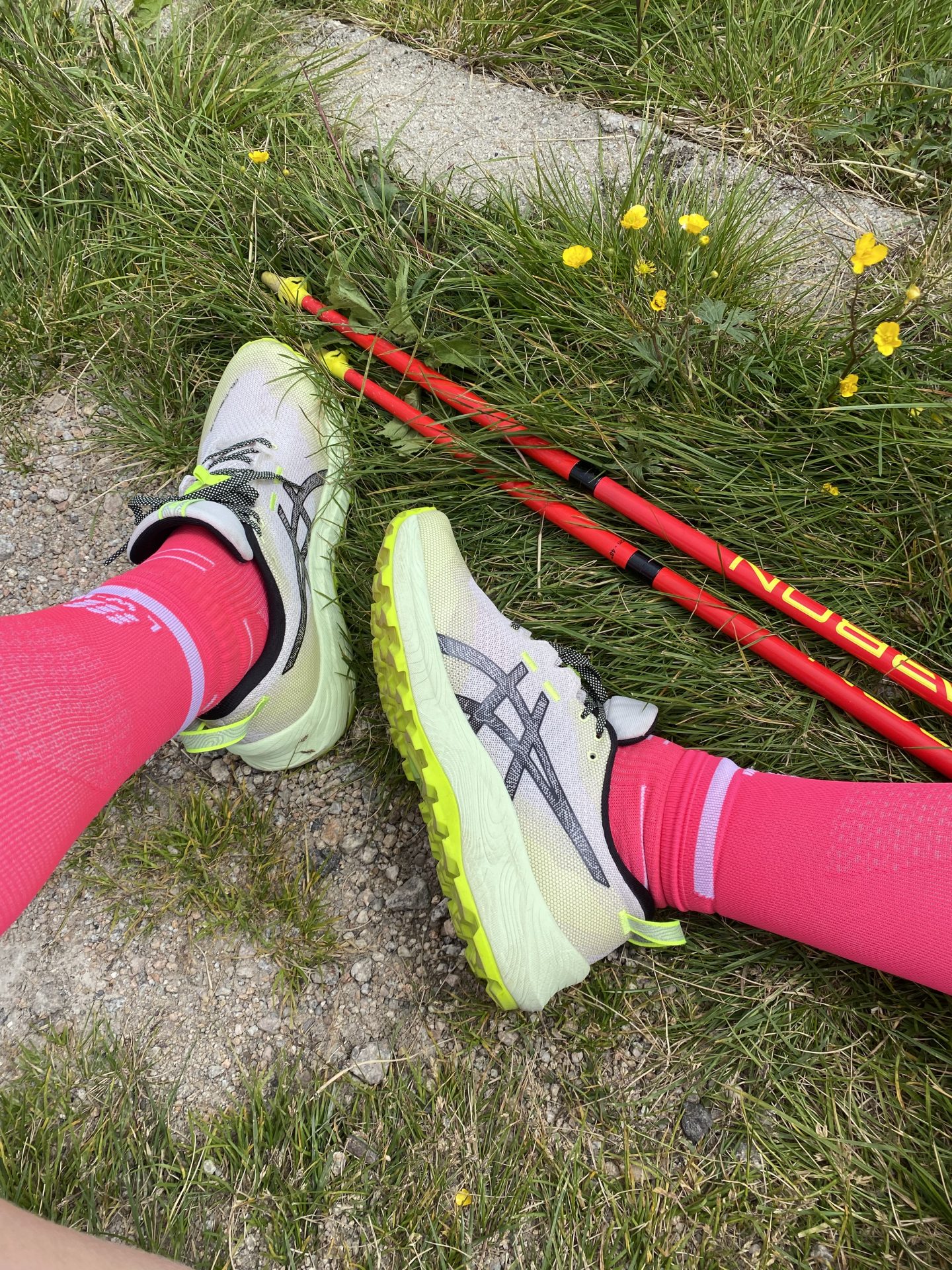 Asics Trabuco 12