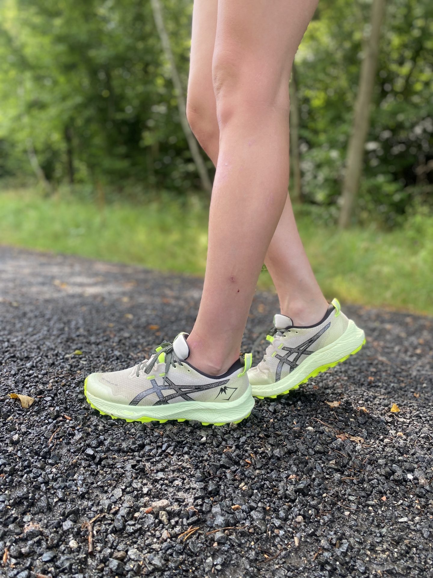 Asics Trabuco 12
