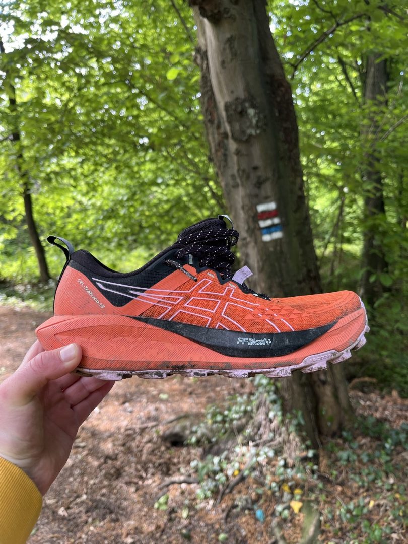 Recenze trailových bot Asics Trabuco 13