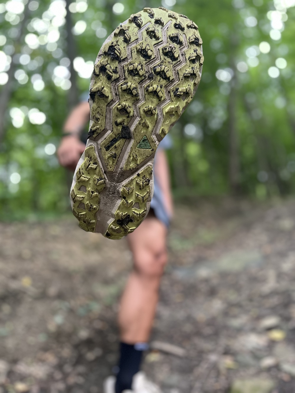 Recenze trailové boty Brooks Cascadia 19