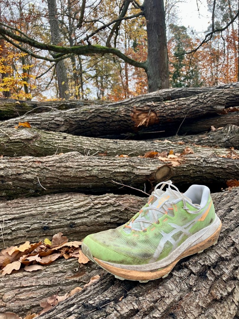 Recenze běžecké trailové závodní boty Asics FujiSpeed 4