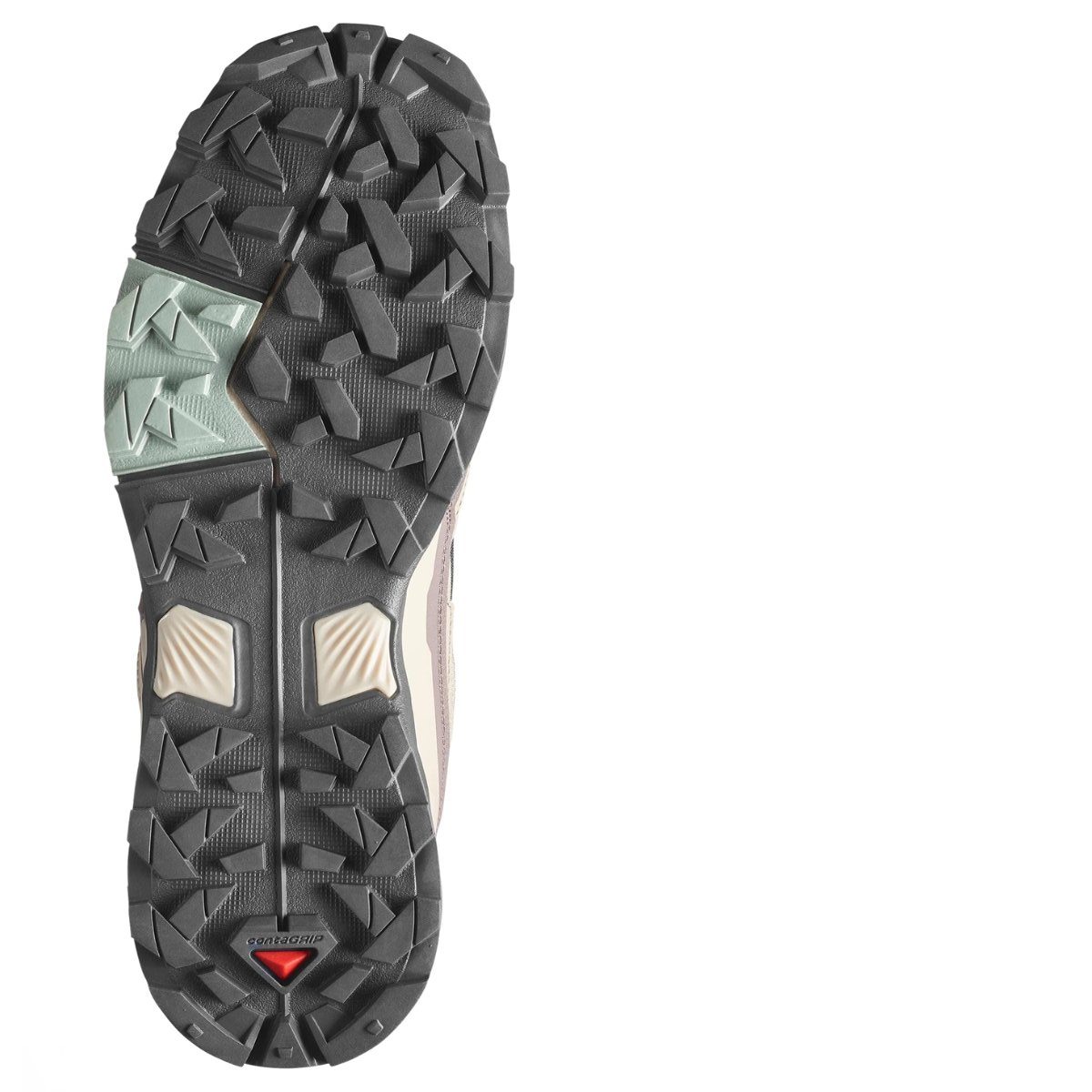 Salomon X Ultra 5 GTX